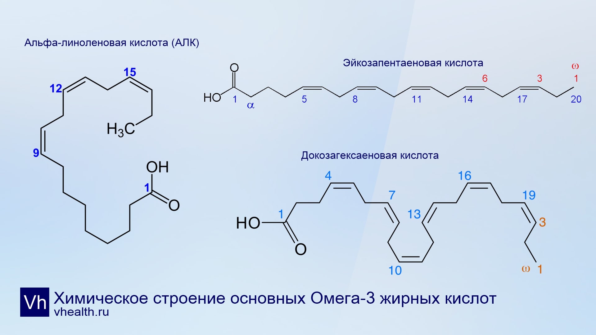 Химическое строение Омега-3 - жирных кислот