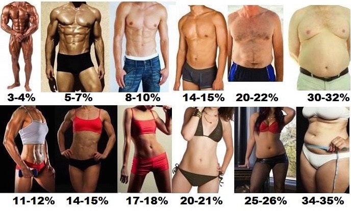 Percentage of body fat. illustrative example