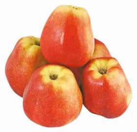 Яблоки Глостер кг