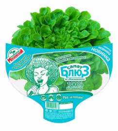 Салат зеленый Блюз в горшочке упак
